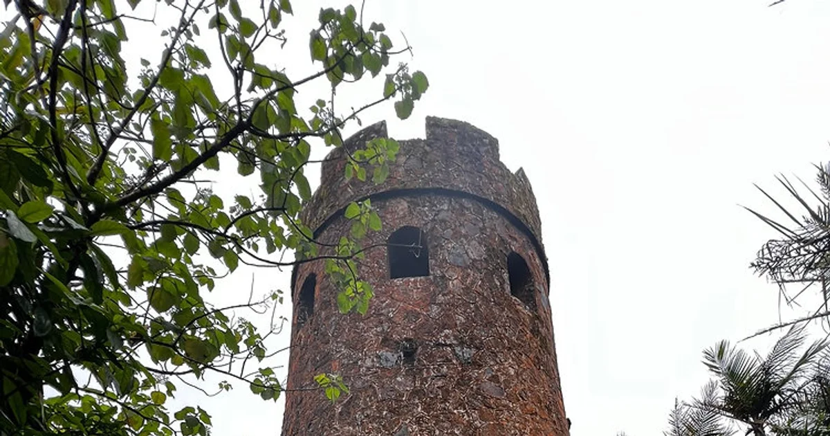 Now Offering El Yunque Tours