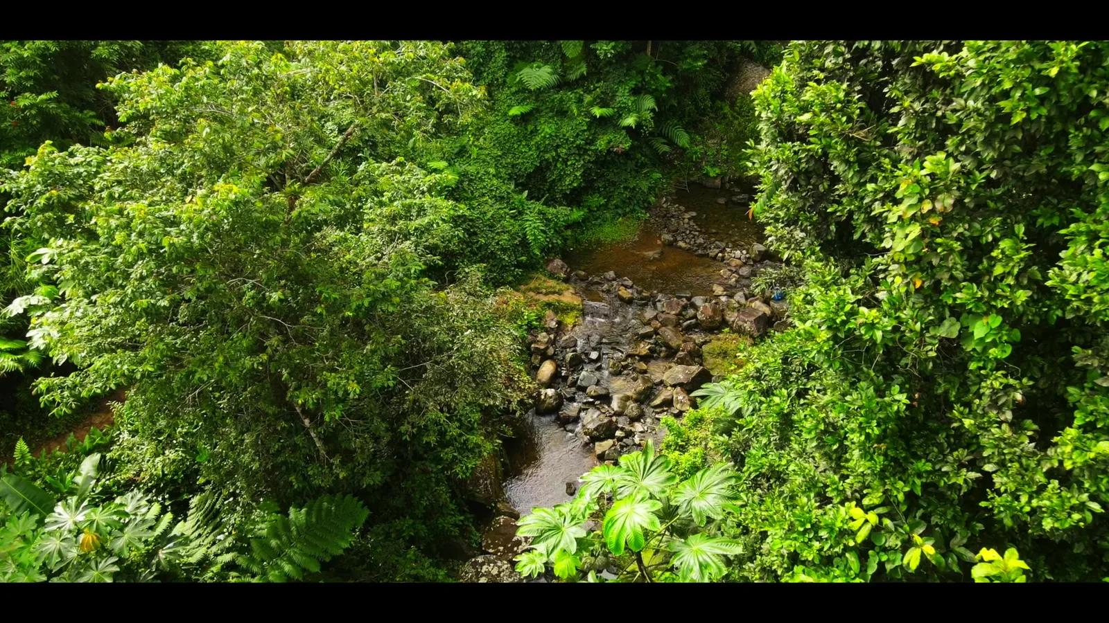 Puerto Rico island tour — beaches, rivers and culture
