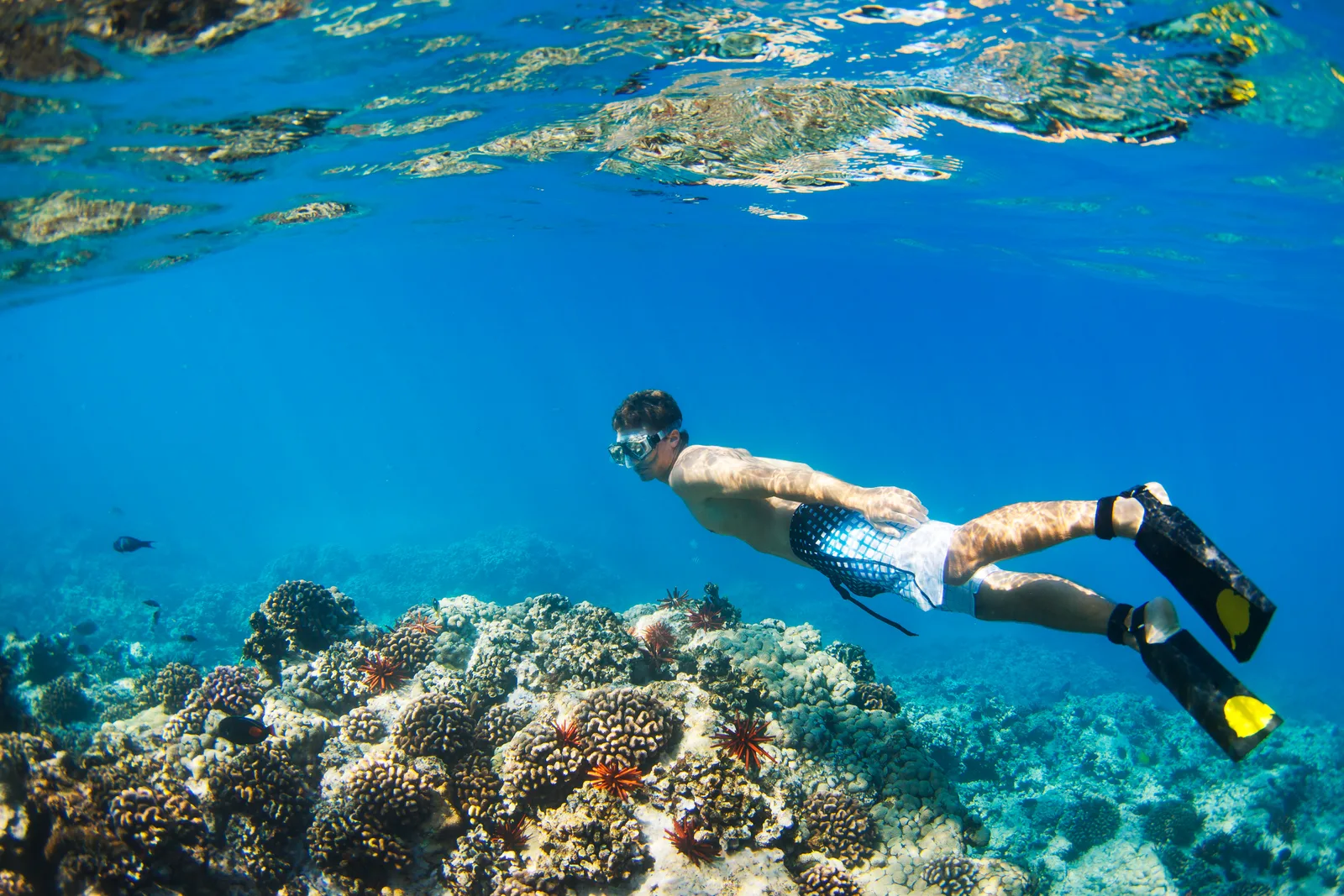 El Yunque rainforest adventure tour Puerto Rico