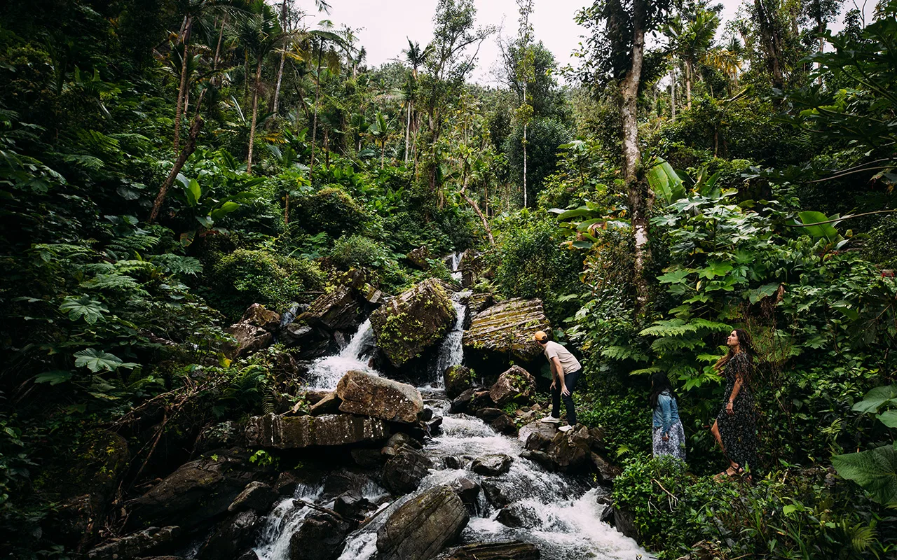 Custom private tour Puerto Rico