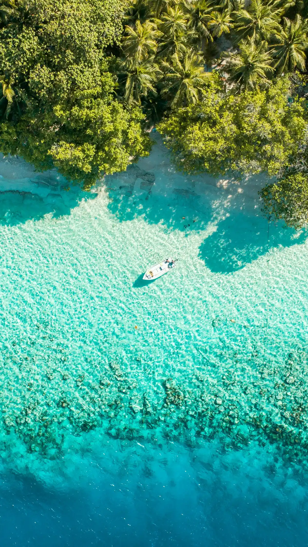 Speedboat over shallow turquoise water from above